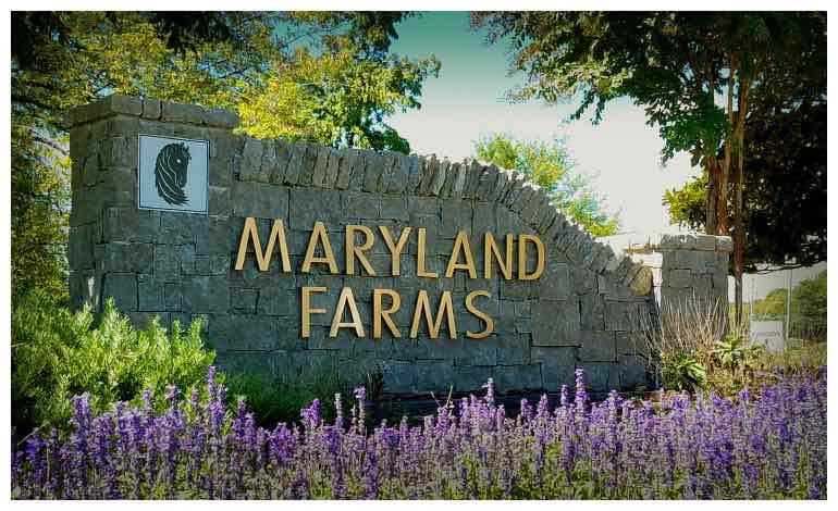 Maryland Farms